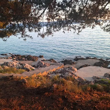 Gavza Sunset דירה
