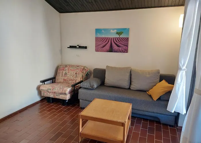 Gavza Sunset كريس